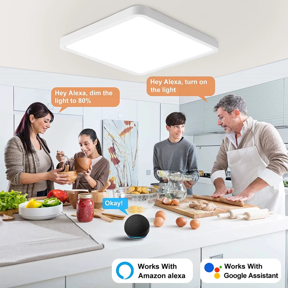 LED Ceiling Lights Smart App Remote Control Indoor Lamps for Bedroom Living Room Kitchen