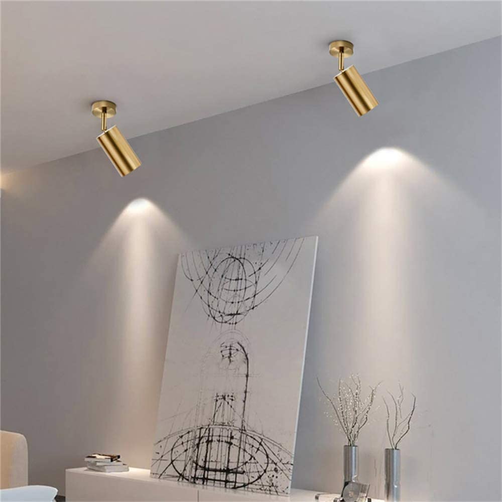 Track Lighting Ceiling Spotlight Adjustable Wall Light Gold Indoor Directional Spot Light Warm White