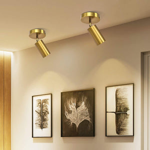 Track Lighting Ceiling Spotlight Adjustable Wall Light Gold Indoor Directional Spot Light Warm White